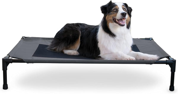 K&H Pet Products Outdoor Elevated Dog Cot