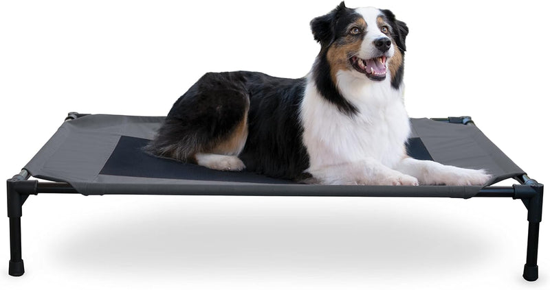 K&H Pet Products Outdoor Elevated Dog Cot