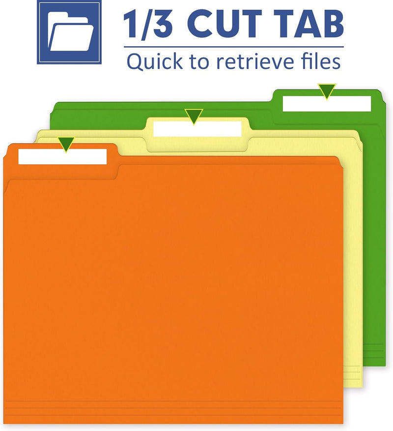 Assorted 12 Colors Filing Folder