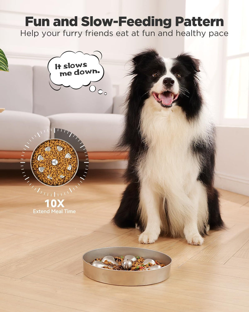Slow Feeder Dog Bowl