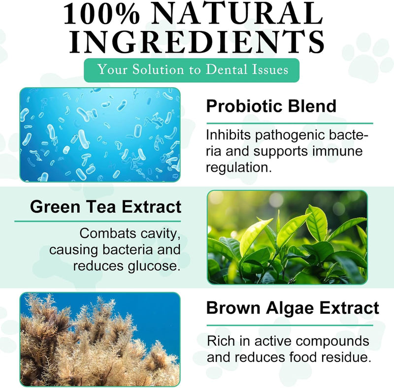Teeth Cleaning Powder for Dogs