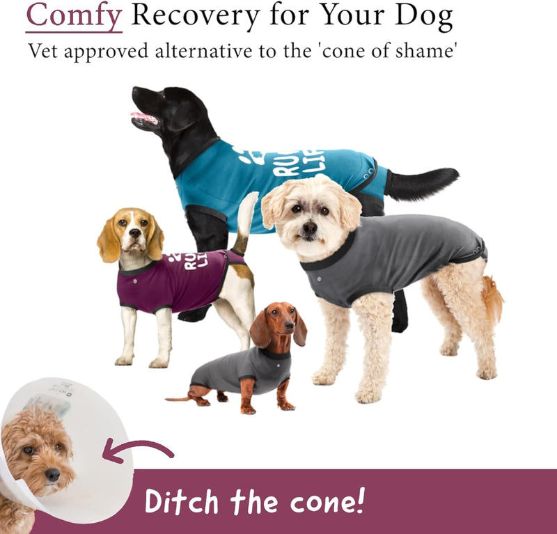 BellyGuard Recovery Suit for Dogs