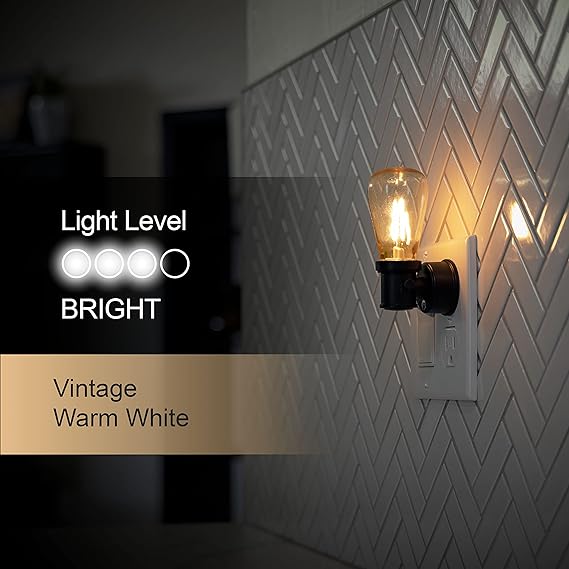 GE Vintage LED Edison Night Light