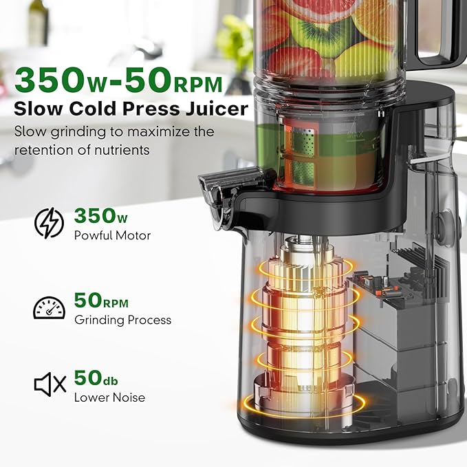 Cold Press Masticating Juicer