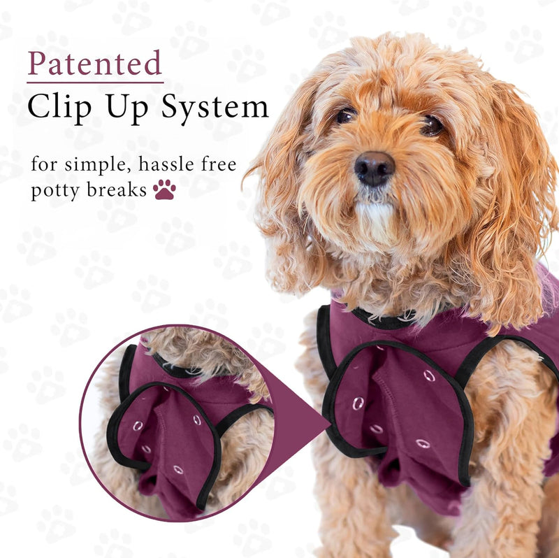 BellyGuard Recovery Suit for Dogs