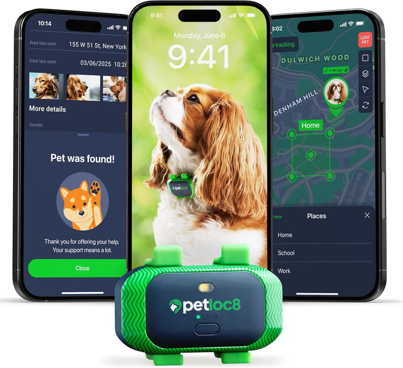 Dog GPS Tracking Device